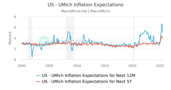 洋書 Chronic Inflation Amazon | Curing Chronic Inflation | Okun, Arthur M., Perry