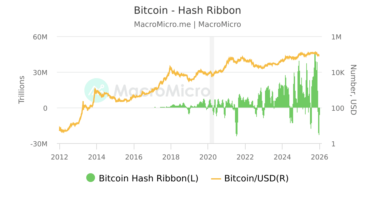 Bitcoin - Hash Ribbon | MacroMicro